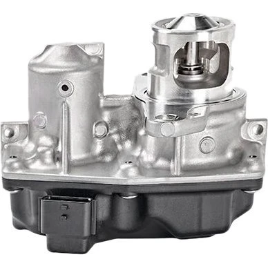 VALEO EGR-Ventil 700449 til Mercedes-Benz, Opel, Renault