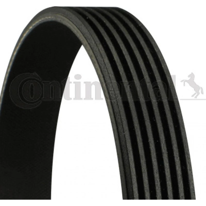 CONTITECH Kilerem 6PK1005 til VW, Audi, BMW