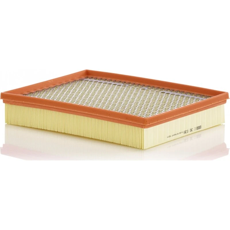 MANN-FILTER Luftfilter C 30 039 5339890, EB3G9601AA