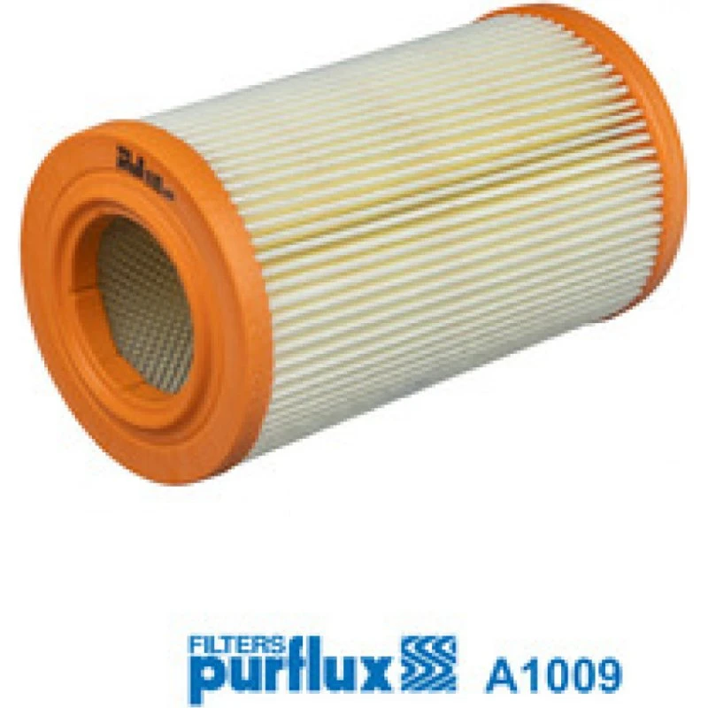 PURFLUX Luftfilter A1009, kompatibelt med FORD Maverick og Nissan Terrano II