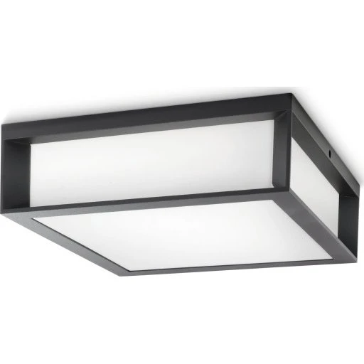 Philips myGarden Skies udendørs loftlampe, antracit