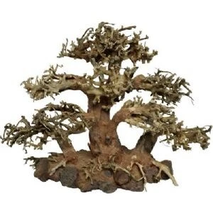 4FISH Bonsai akvarietræ 40×15×30 cm