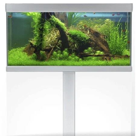 AkvaStabil Fusion kabinet 100x50x75 cm