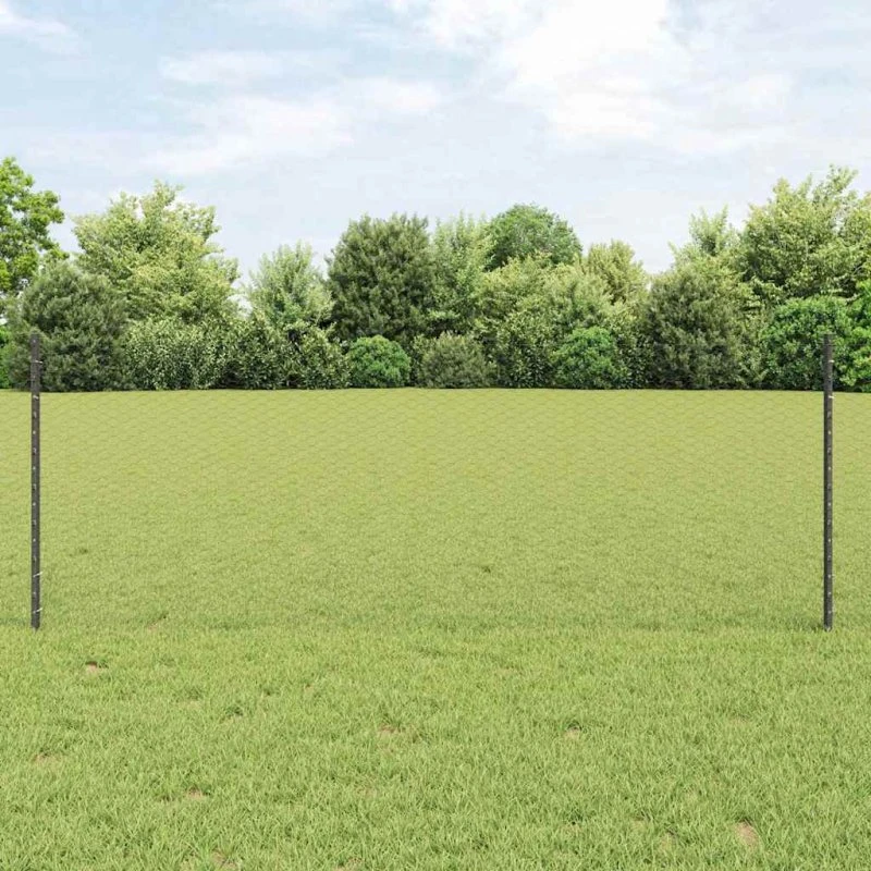 vidaXL Sekskantet hegn 25 x 0,8 m grå PVC-belagt stål