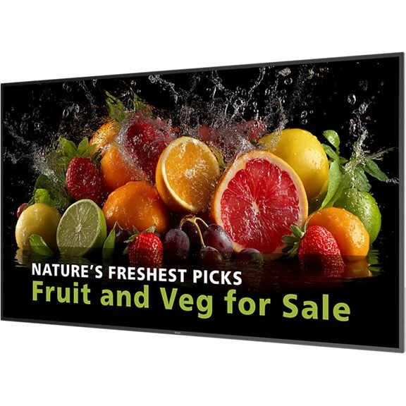 Philips 75BDL5050D 75" 4K UHD LED-bagbelyst digital signage-skærm