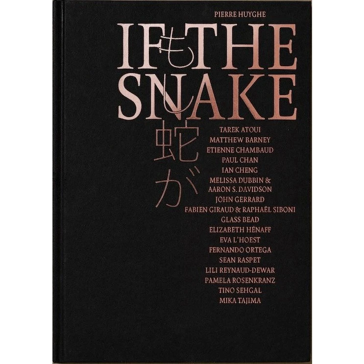 Pierre Huyghe - If The Snake