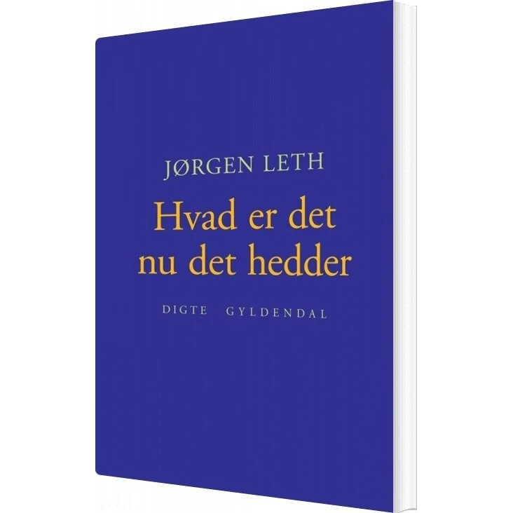 Jørgen Leth - Hvad er det nu det hedder