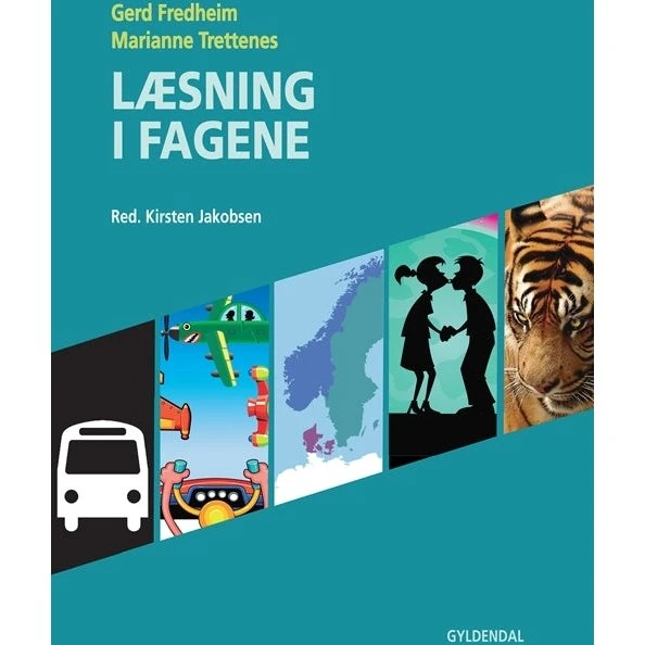 Gerd Fredheim: Læsning i fagene
