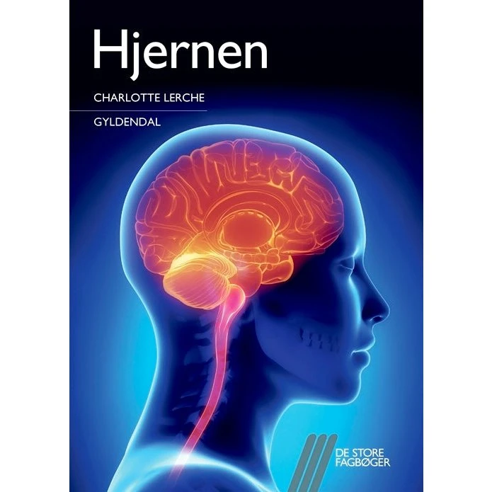 Charlotte Lerche: Hjernen
