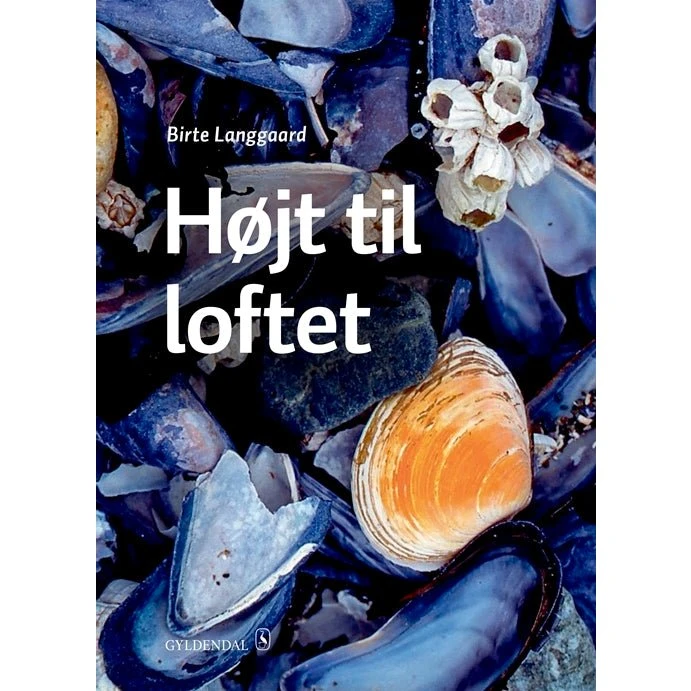 Birte Langgaard: Højt til loftet