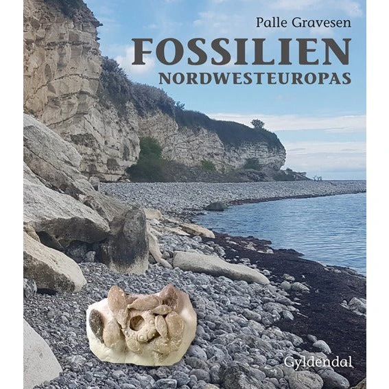 Fossilien Nordvesteuropas - Palle Gravesen