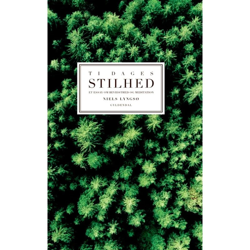 Ti Dages Stilhed - Niels Lyngsø
