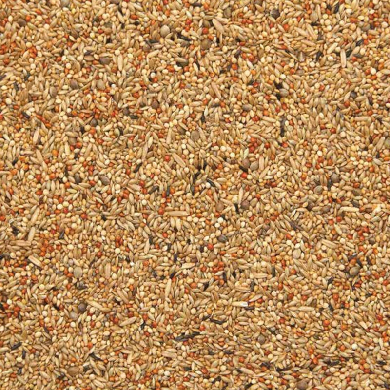 Vanrobaeys Undulatfoder Lux 5 kg