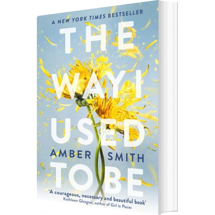 Amber Smith: The Way I Used To Be - Engelsk e-bog