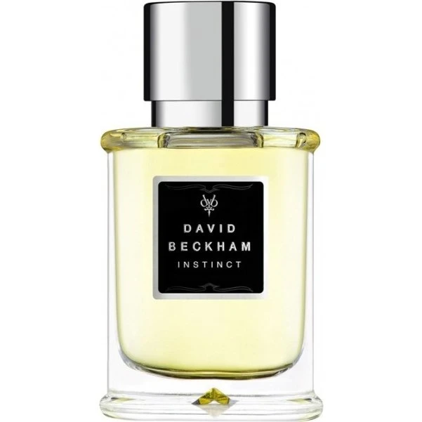 David Beckham Instinct Eau de Toilette 75 ml