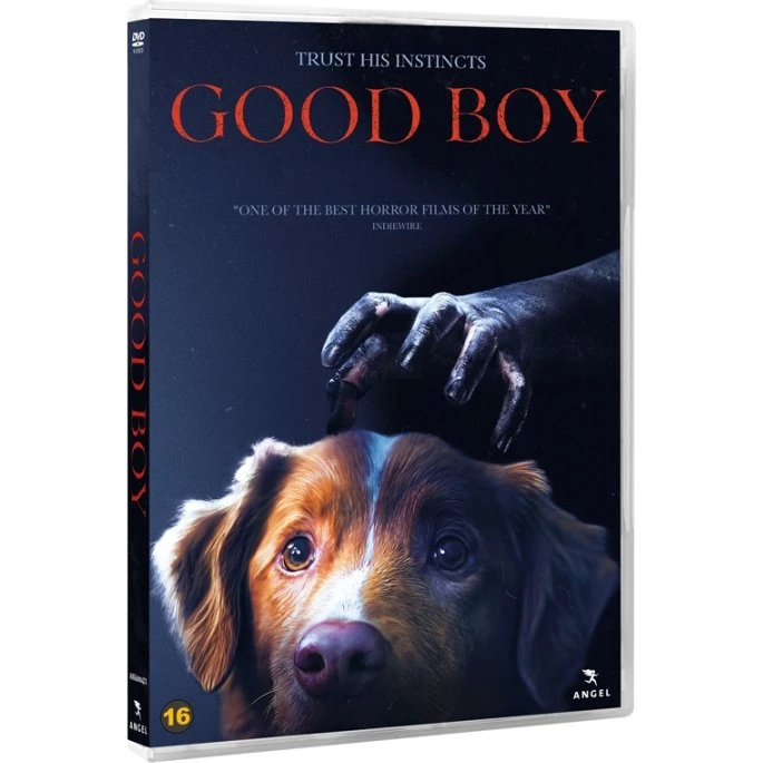 GOOD BOY - DVD