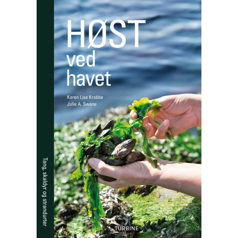 Høst ved havet - Julie A. Swane