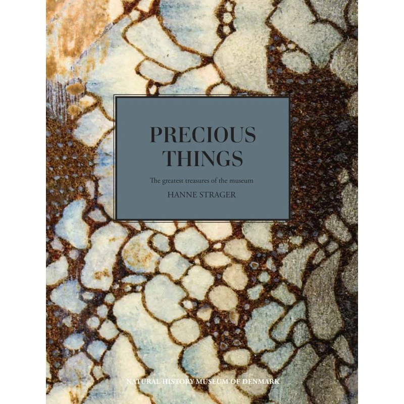 Precious Things - Hanne Strager