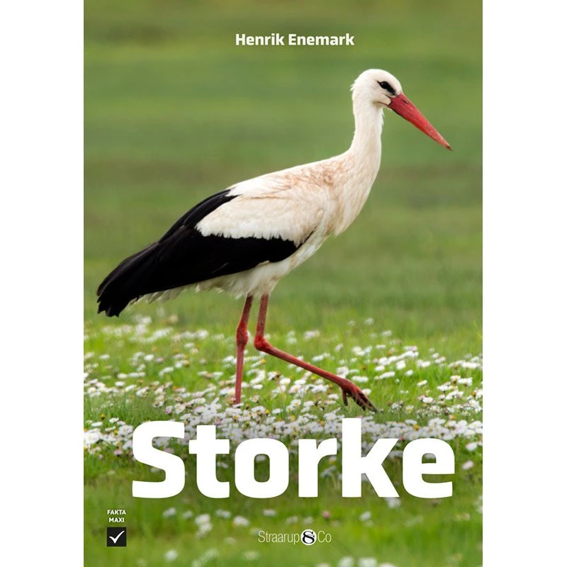 Storke – Børnebog med historier om hvide stork i sommeren