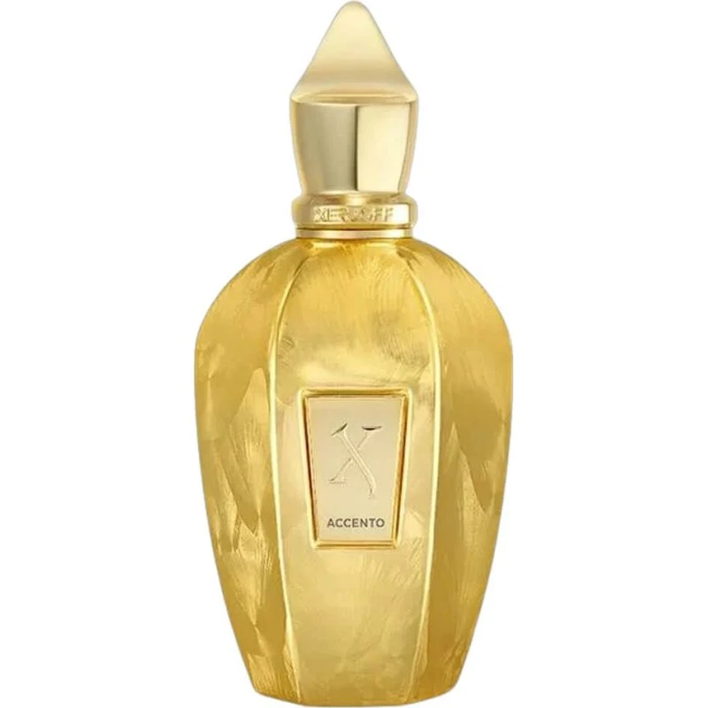 Xerjoff Accento Overdose EDP 100 ml