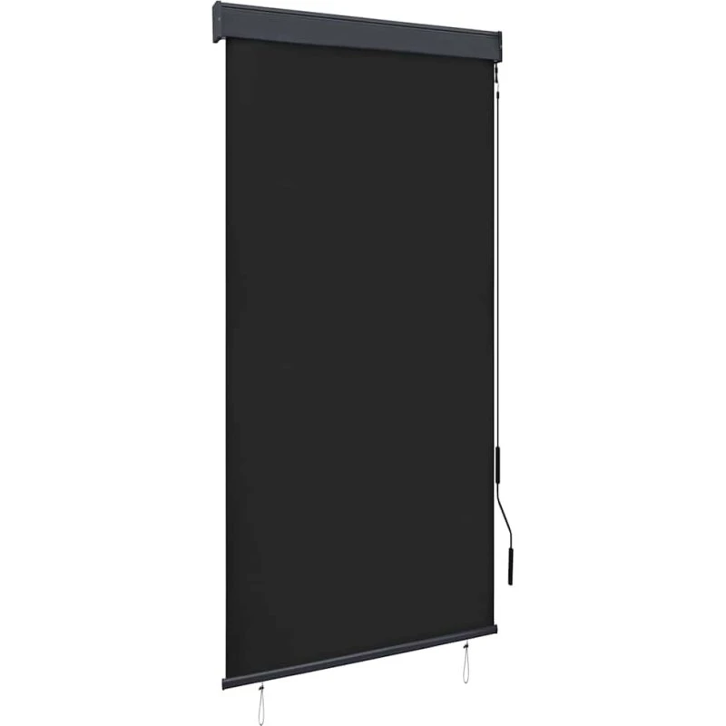 vidaXL Udendørs Rullegardin 80x250 cm Antracitgrå med Håndsving