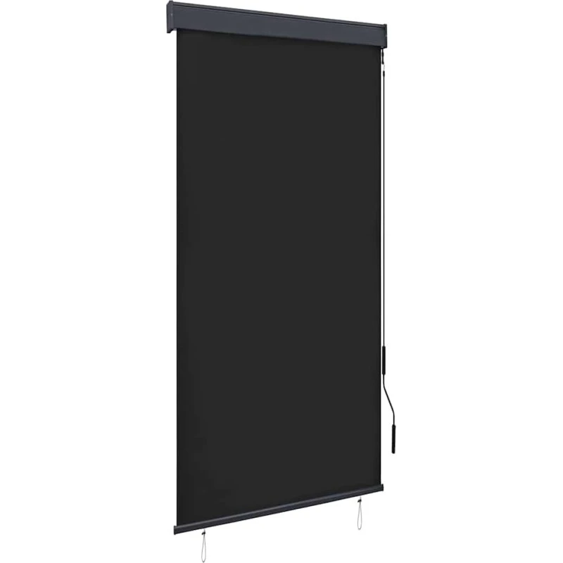 vidaXL Udendørs Rullegardin 100x250 cm Antracitgrå med Håndsving
