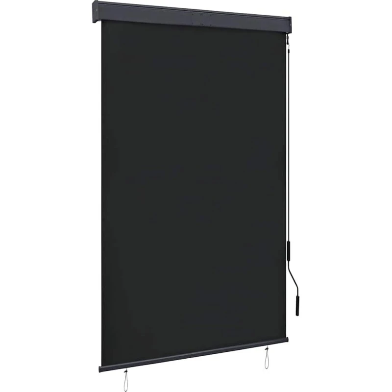 vidaXL Udendørs Rullegardin 120x250 cm Antracitgrå med Håndsving