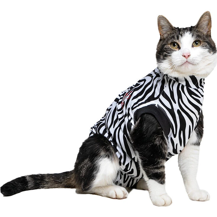 Medical Pet Shirt Kat - Zebra Print XXS