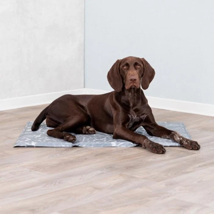 Trixie Køleunderlag Soft Grey L – Kølemåtte til hunde