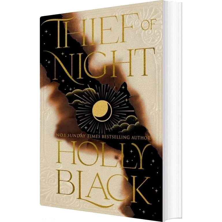 Holly Black: Thief Of Night