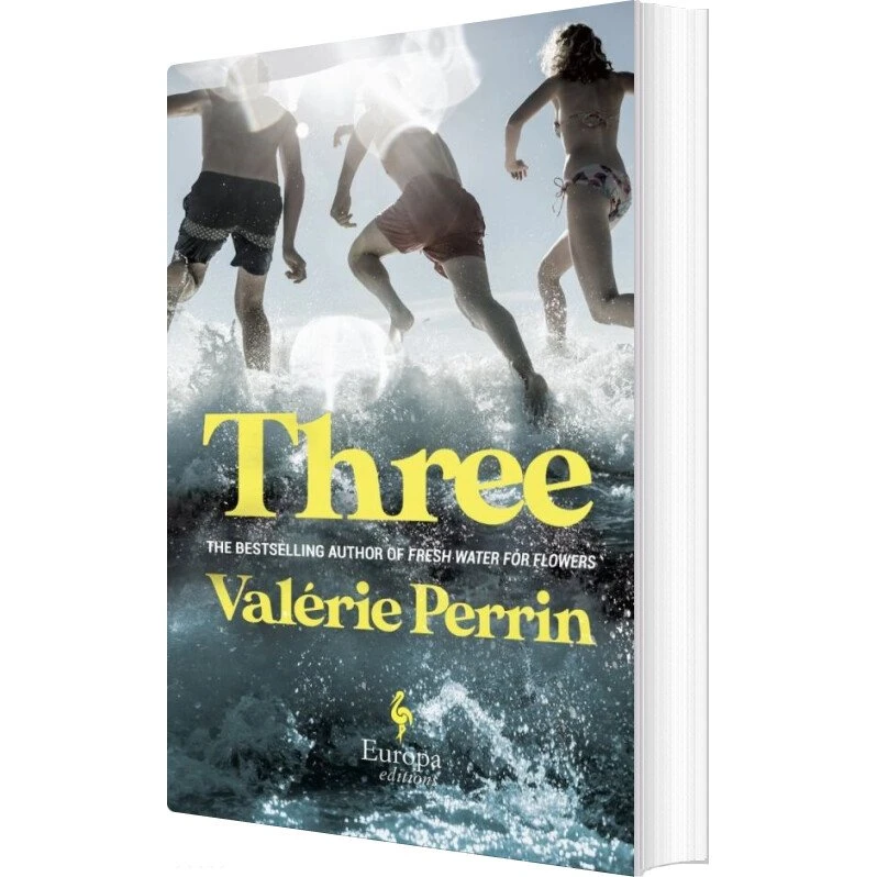 Three – Valérie Perrin – Engelsk skønlitteratur