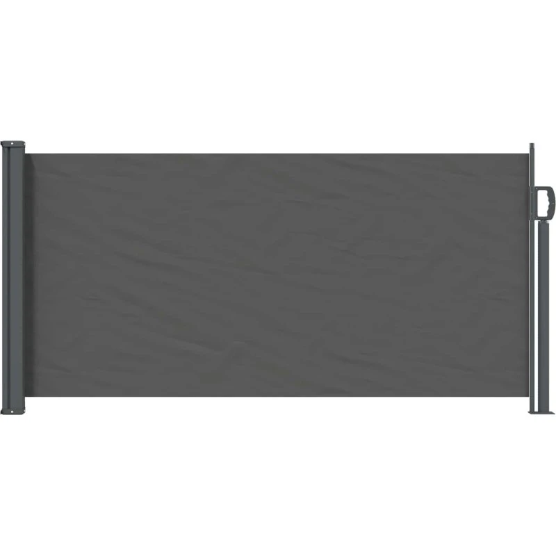 vidaXL Udtrækkelig Side-Markise Antracit 300x100 cm