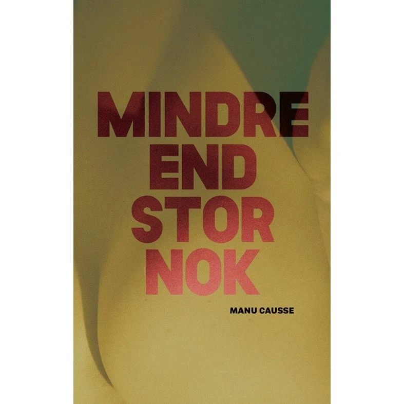 Manu Causse - Mindre end stor nok