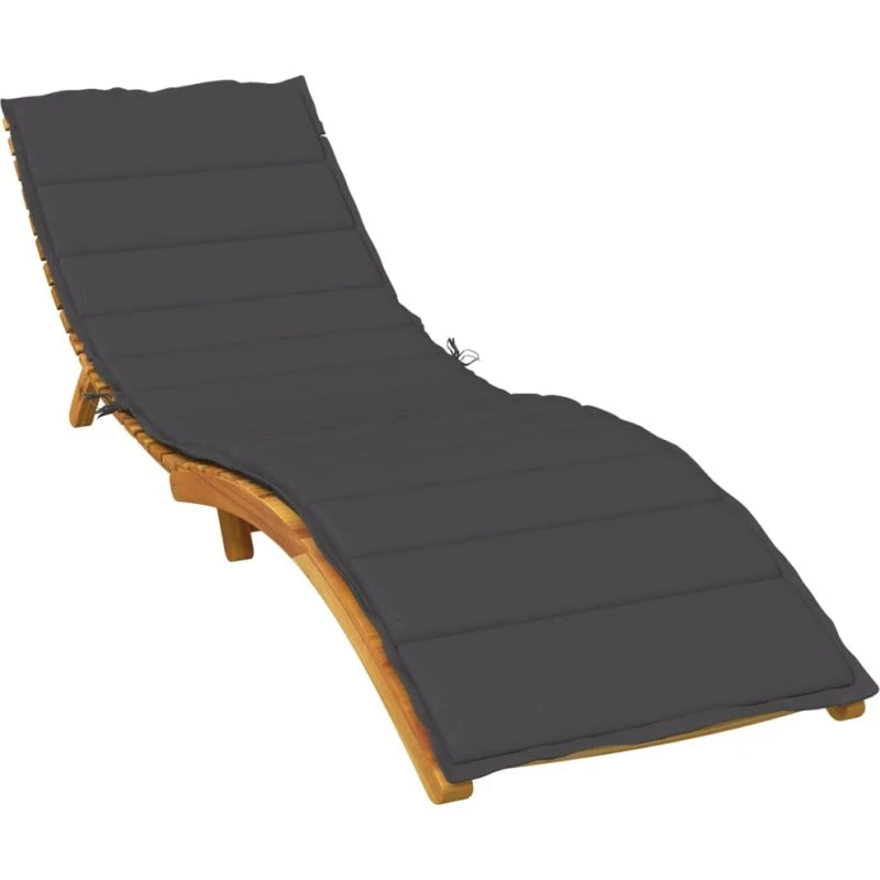 vidaXL Hynde til Liggestol 200x70x4 cm Meleret Antracitgrå
