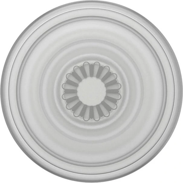 PopSockets PopGrip Plant Faded Stone
