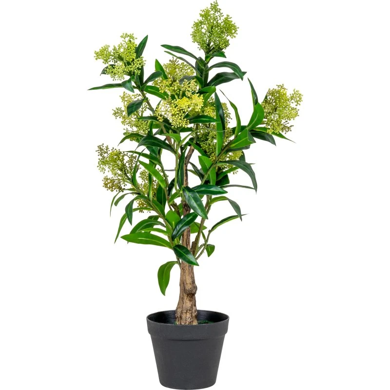 House Nordic Skimmia Kunstig Plante - Grøn (75 cm)