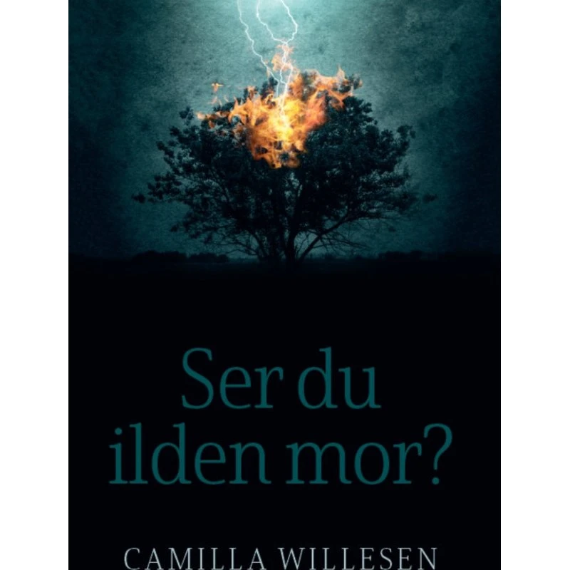 Ser du ilden mor? - Camilla Ravnå Willesen - Bog