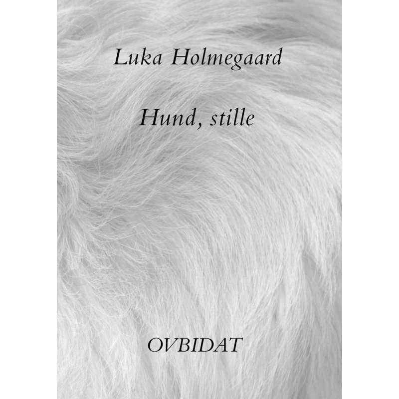 Hund, stille - Luka Holmegaard (Bog)