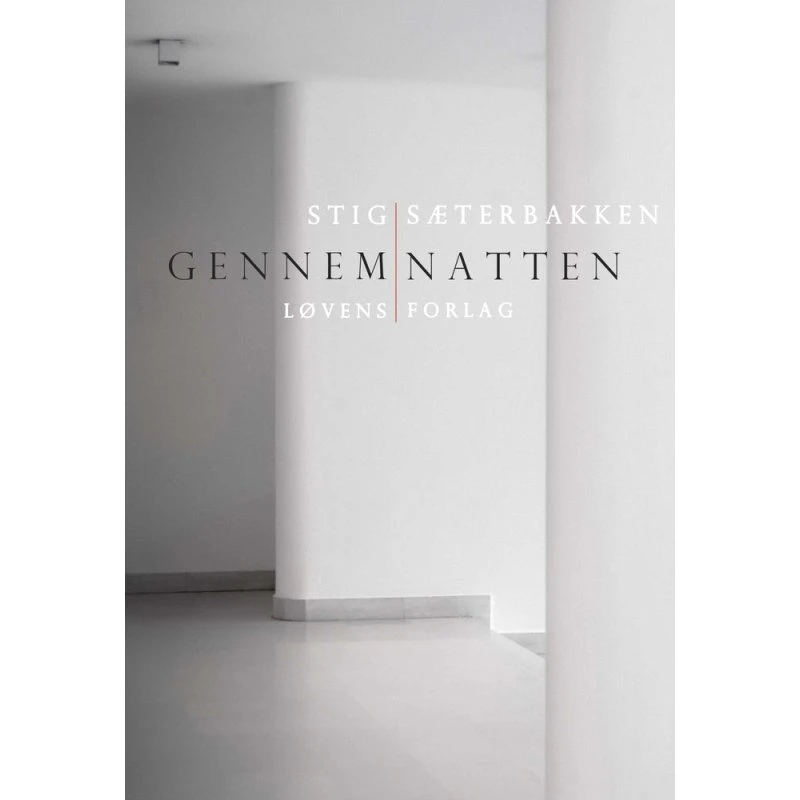 Gennem natten - Stig Sæterbakken - Bog