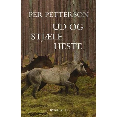 Ud og stjæle heste - Per Petterson - Bog