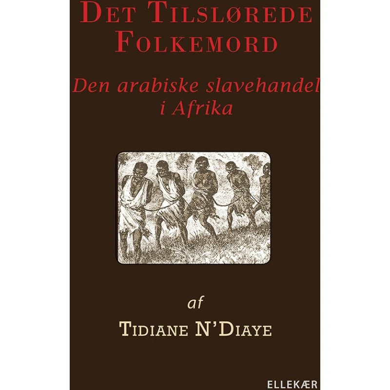 Det tilslørede folkemord - Tidiane N'Diaye