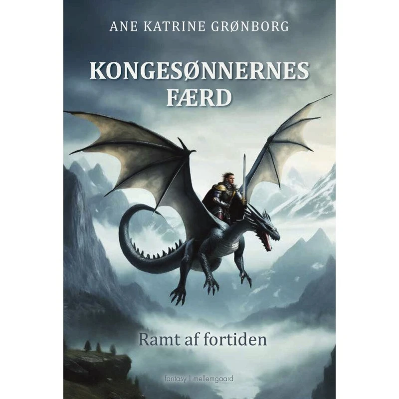 Kongesønnernes færd - Ane Katrine Grønborg - Bog