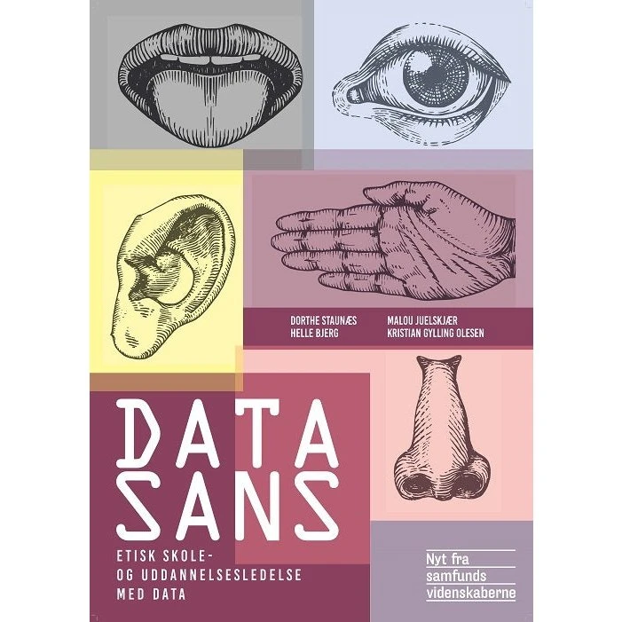 Datasans - Dorthe Staunæs m.fl. (Bog)