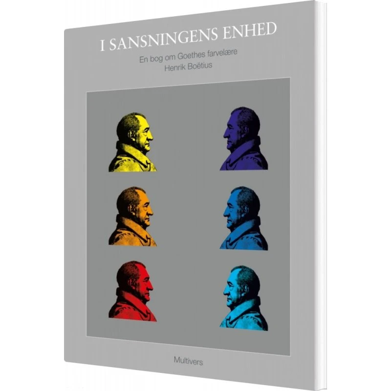 I sansningens enhed - Henrik Boëtius - Bog