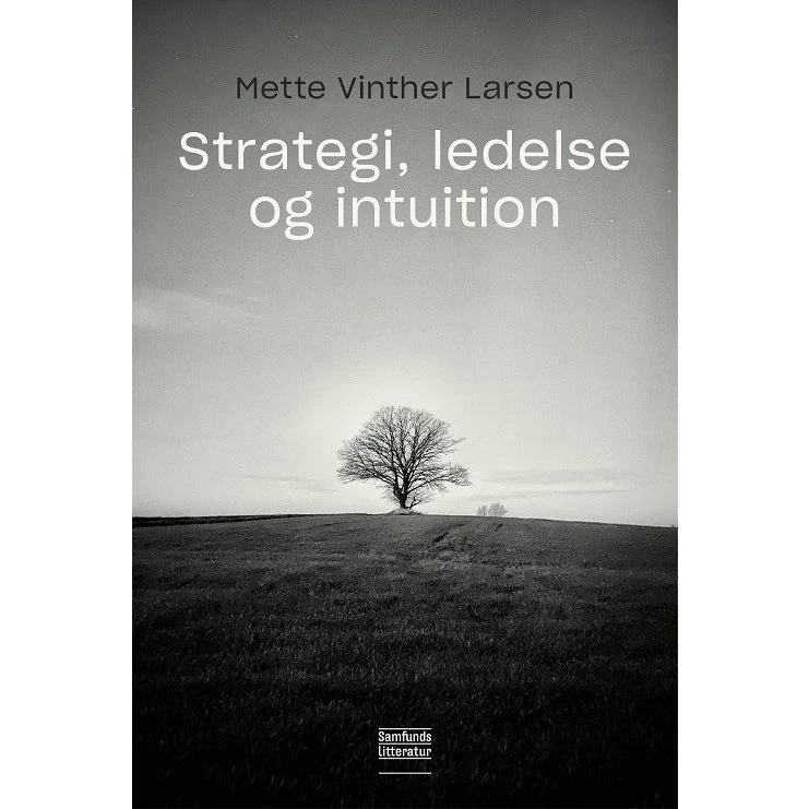 Strategi, ledelse og intuition - Mette Vinther Larsen