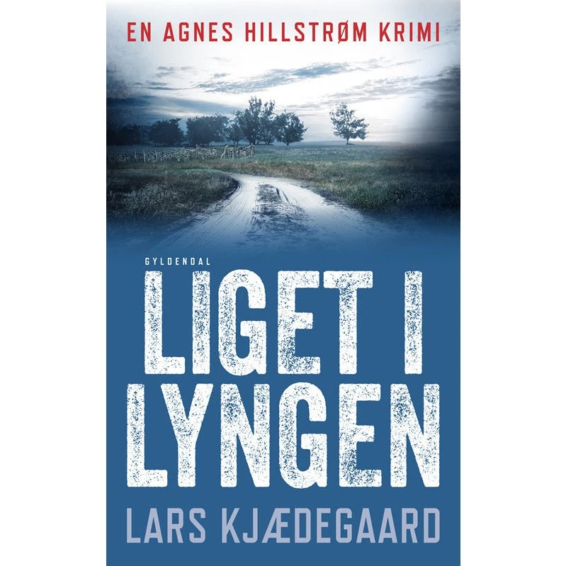 Liget i lyngen - Lars Kjædegaard - Bog