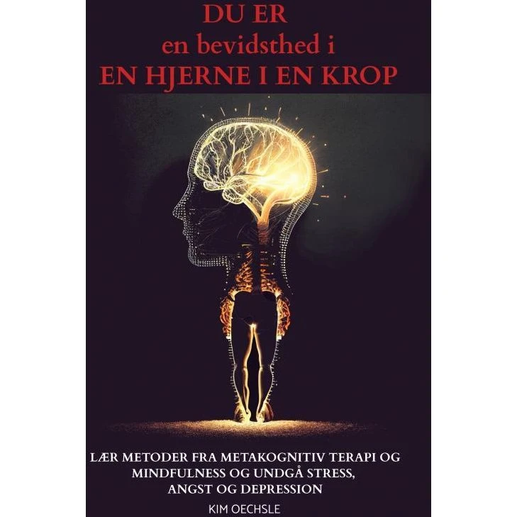 Du Er En Bevidsthed I En Hjerne I En Krop - Kim Oechsle