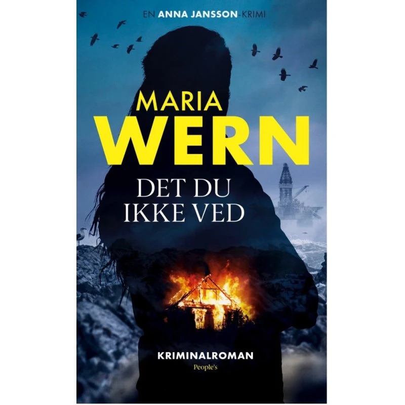 Det du ikke ved - Anna Jansson (Bog)