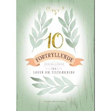 10 fortryllende fortællinger fra loven om tiltrækning - Bettina Møller Jensen