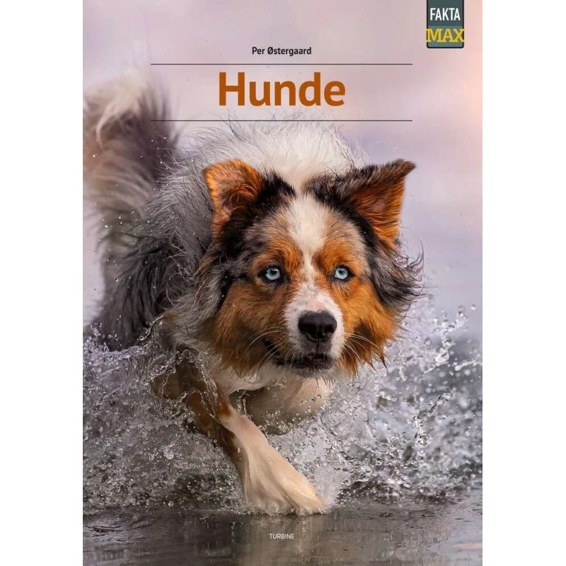 Hunde - Per Østergaard - Bog